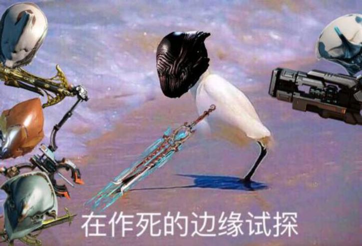 《warframe》——开局一只鼠,装备全靠肝