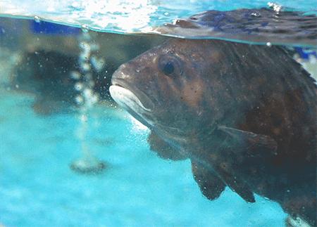 美食探店4人海鲜,美食探店大超市