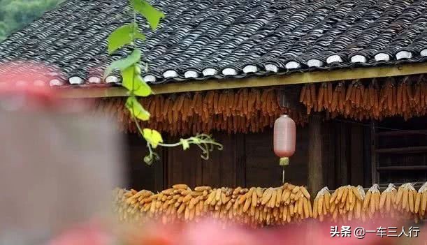 乌当的秋,风情却不张扬