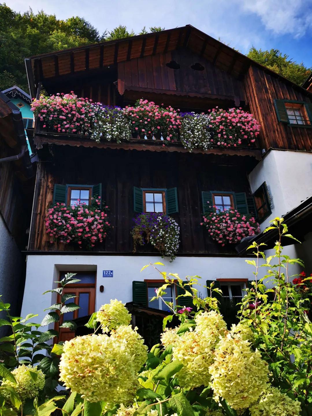 东北花园四季开花植物,北方一年四季都开花的花园