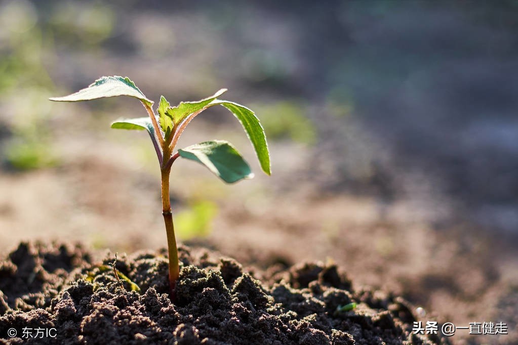 一目了然——《诗经》（256——265）