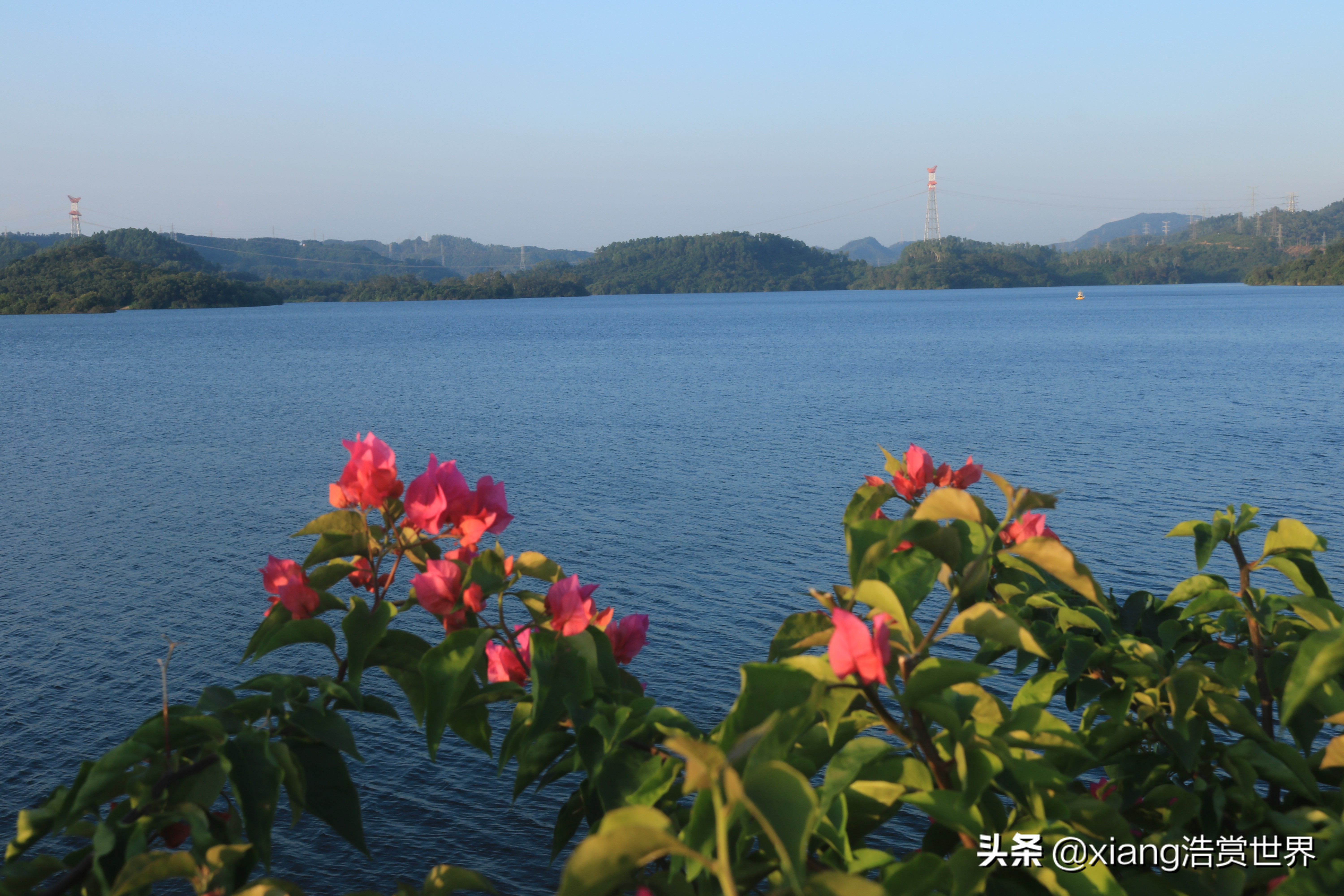 深圳最值得拍照的公园,深圳风景最好看的公园