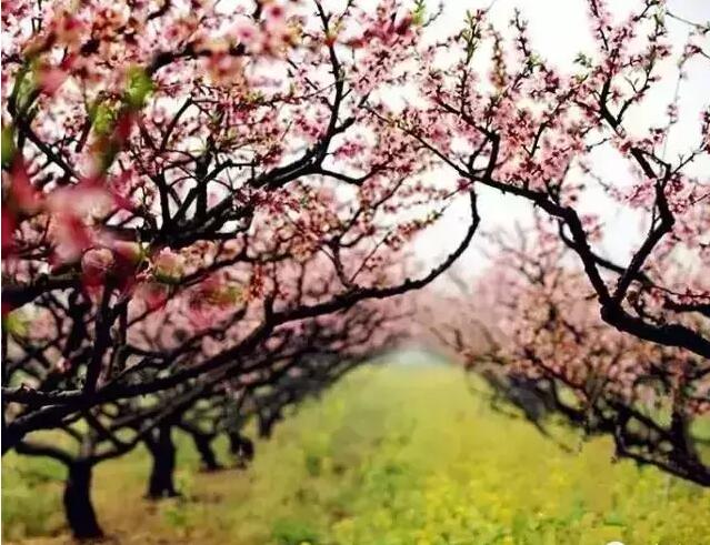 善良是一个人最大的实力,善良是一个人的教养