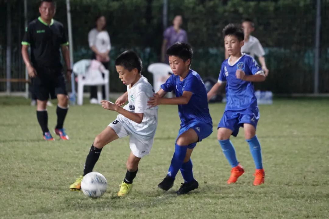 群英荟萃可以一期全拿完吗,群英荟萃重复获得多少盒子