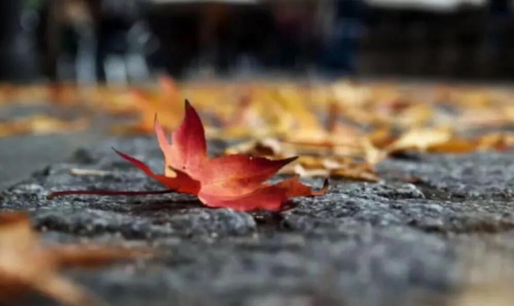 盐如人生：一勺盐，放进杯子里，会咸；撒进湖水里，会淡