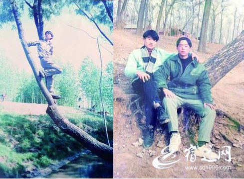 我的照片里有棵树这是一棵有故事的树