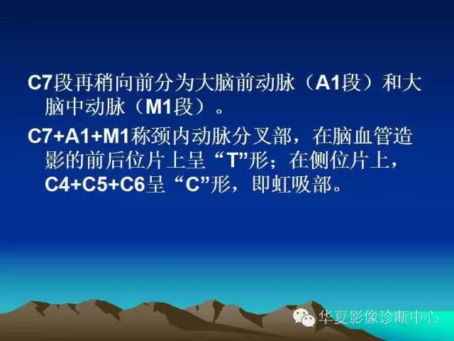 小脑血管解剖分段,脑血管影像解剖讲解