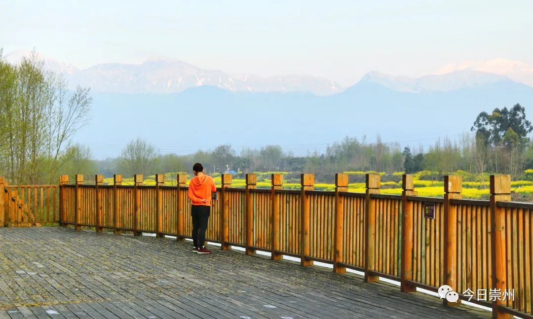 崇州市区看雪山,崇州看雪山