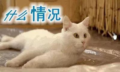 十大不建议去的宠物医院,宠物医院看病坑吗