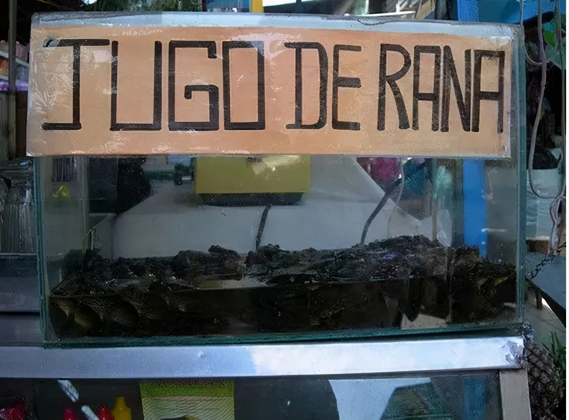 秘鲁超级有趣的冷知识英语,智利冷知识