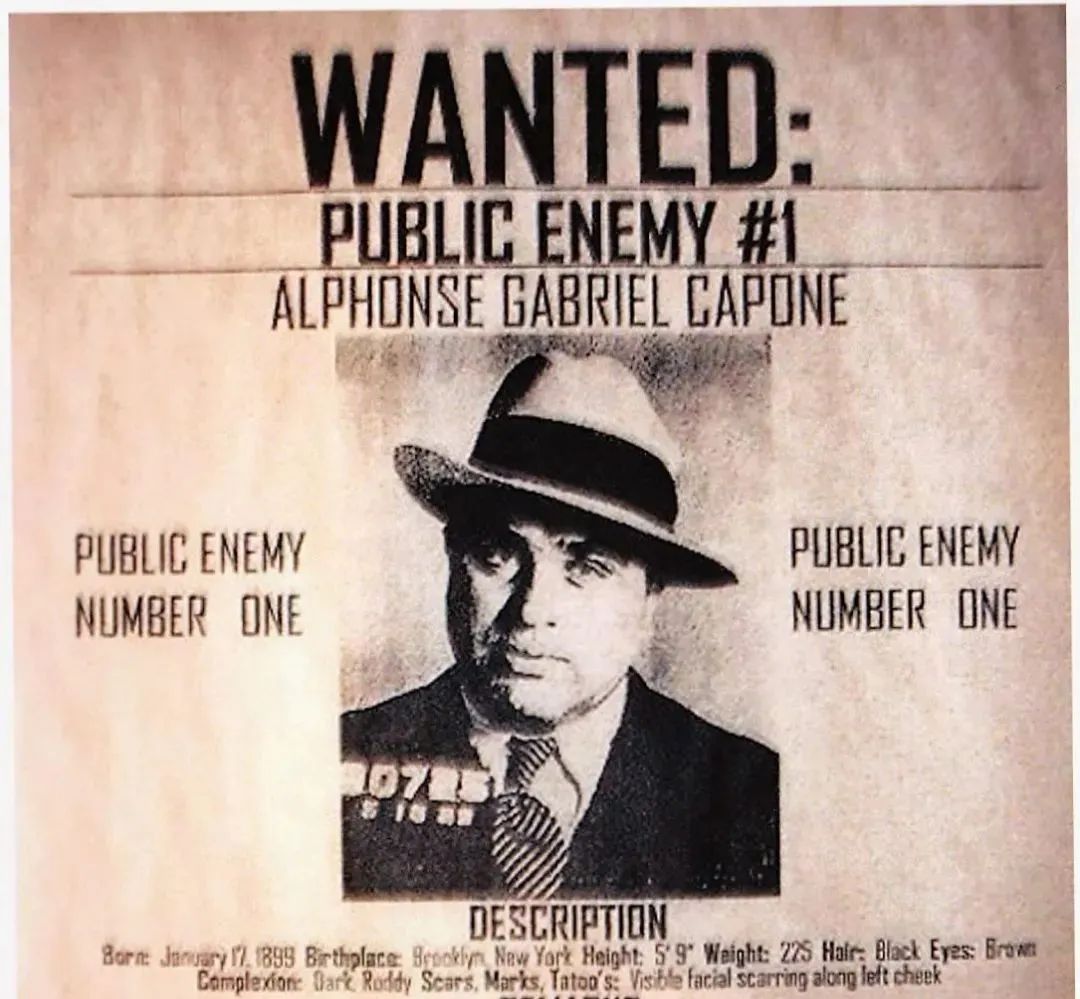 *手党黑**传奇教父+悲情烂片导演,这部电影是真正的灾难艺术品