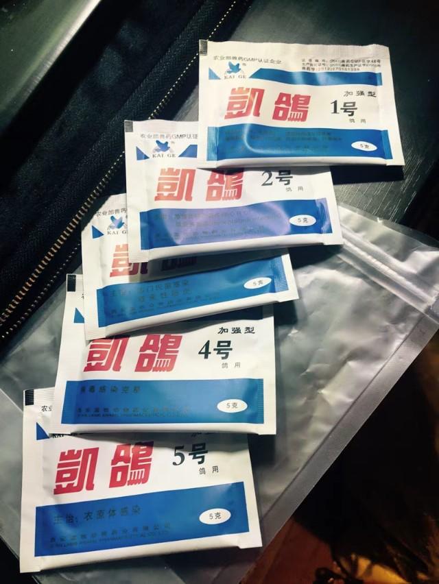 饲养宠物鹦鹉的几大要点,鹦鹉新手饲养注意事项