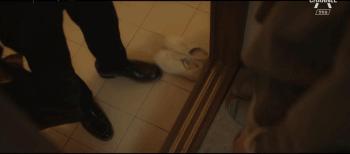 别以为换了副模样就认不出你,你以为改了名就不认识你了吗台词