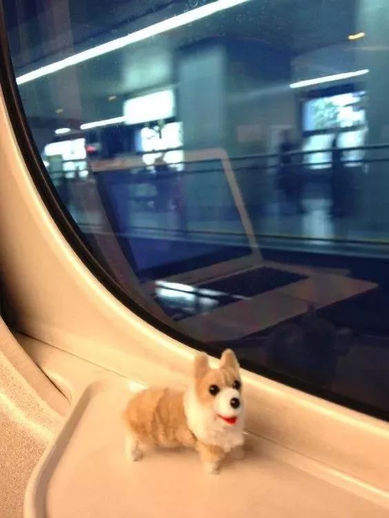 毛根扭扭棒手工制作过程图文,毛根扭扭棒手工制作教程过程图文