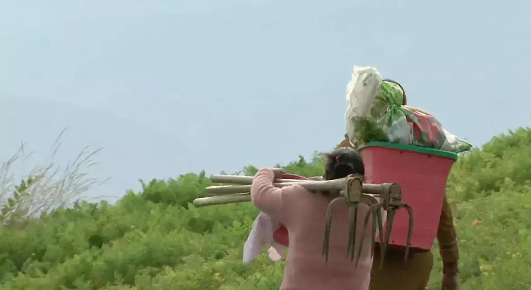 货好多物流怎么加盟需要多少钱,货多了怎么卖出去