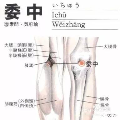 中医穴位减肥按摩手法全程教程,自己用艾灸减肥最快的穴位图解