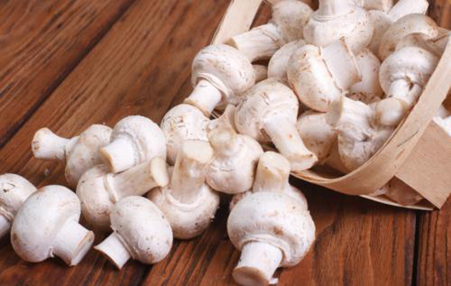 被上帝认为不洁的蘑菇，凭什么能“纵横”于神州大地