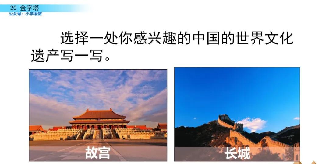 部编版五年级下册语文金字塔教案,语文书五年级下册第20课课后练习