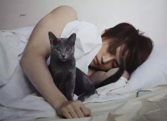 猫毛过敏，又很想养猫怎么办？十条建议帮你消除烦恼