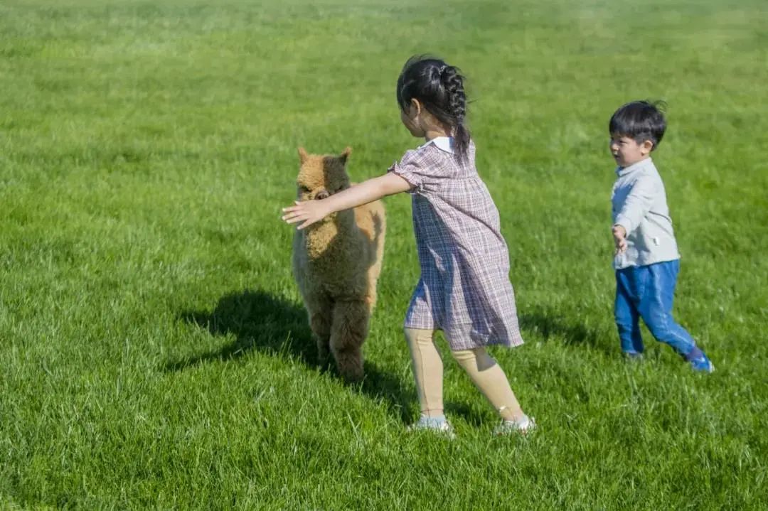 元宵节免费景点,神兽放假旅游