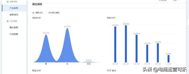 如何查看店铺人群标签是否精准,人群标签怎么打标