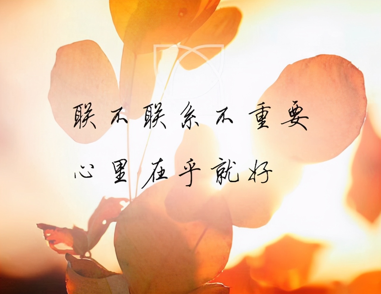 爱错了人最后会怎么样,如果爱错了人会怎样