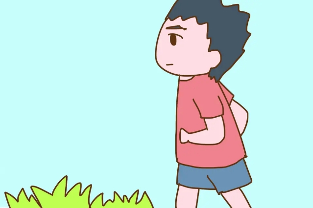 老婆怀孕了我应该怎么办,老婆怀孕了我该做什么