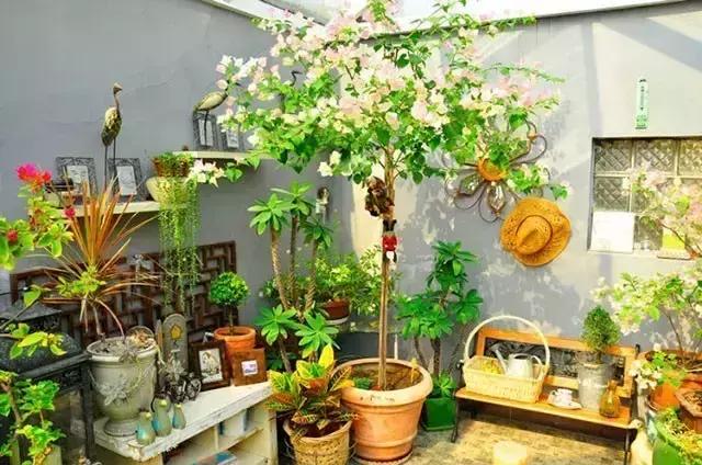 她40岁之前忙成狗，40岁之后在上海买房隐居