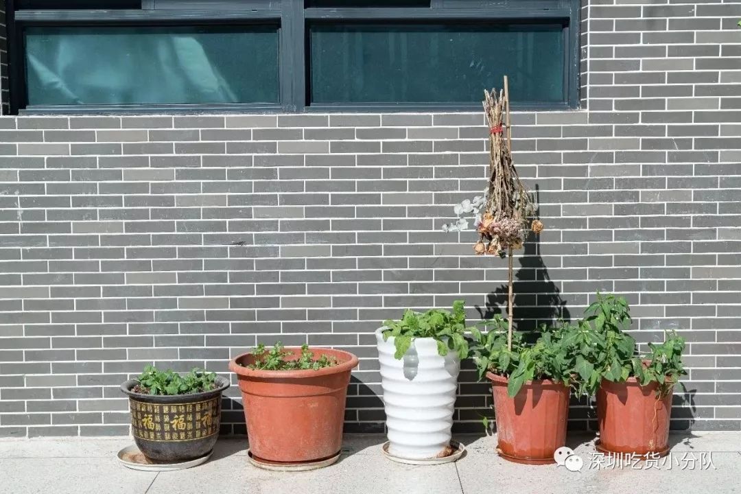 你好深什么意思,你好深秋