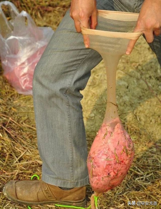 塘鲺鱼的克星,鱼塘塘鲺鱼钓饵