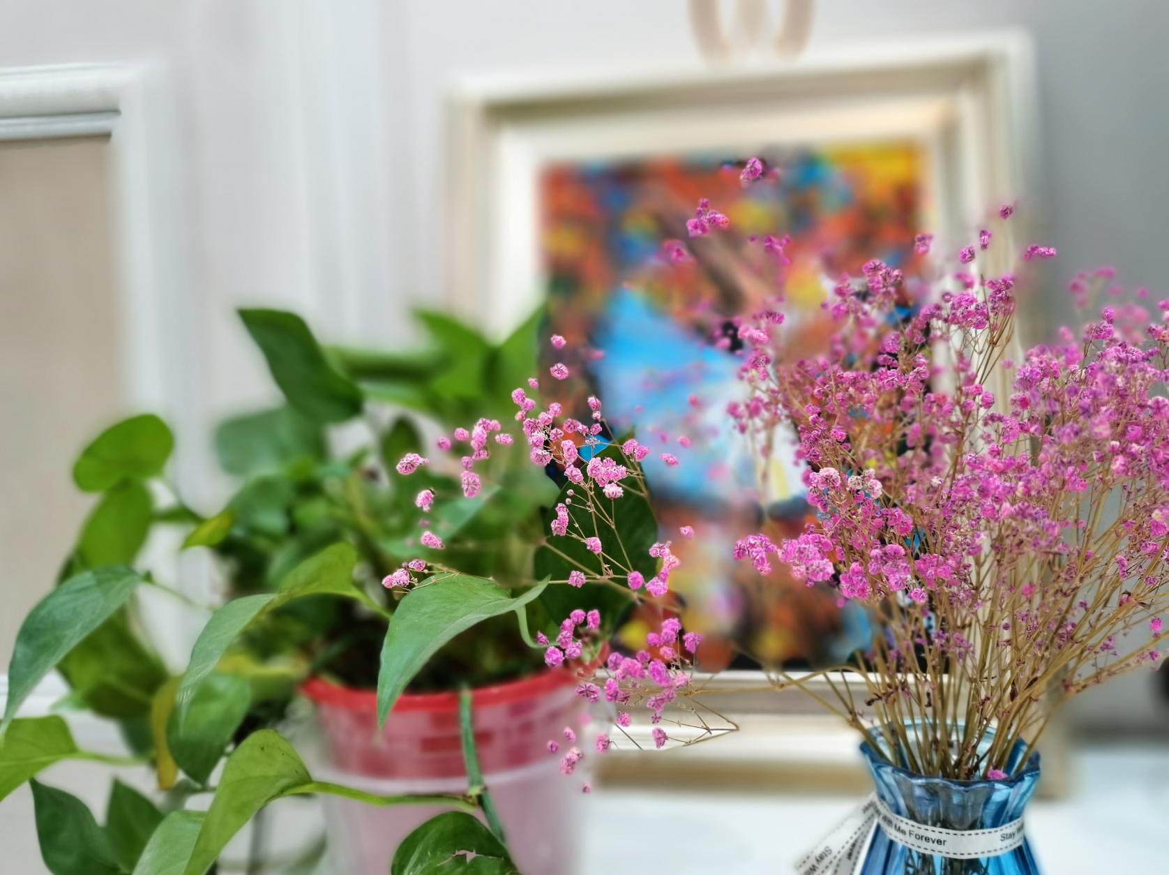 荣耀30s放大20倍拍照评测,荣耀30s测评大米