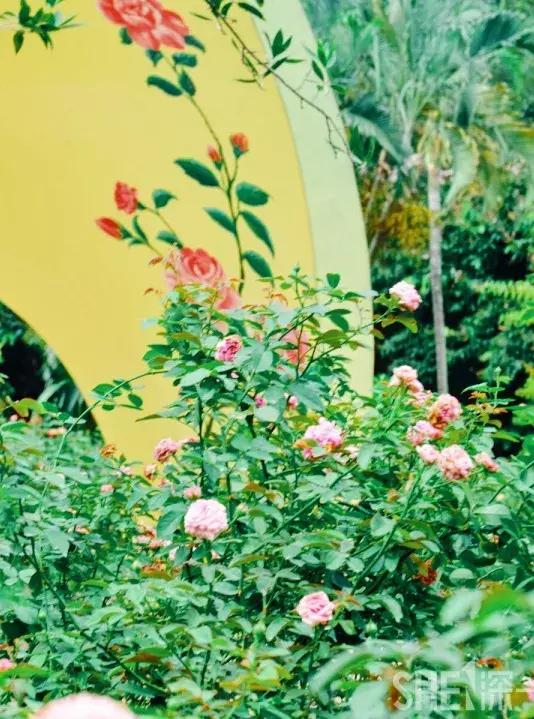 这里是东方世界,这里是东门英语怎么说