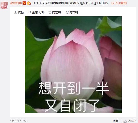 张艺兴跟杨天真合作什么时候结束,张艺兴与杨天真解约原因是什么