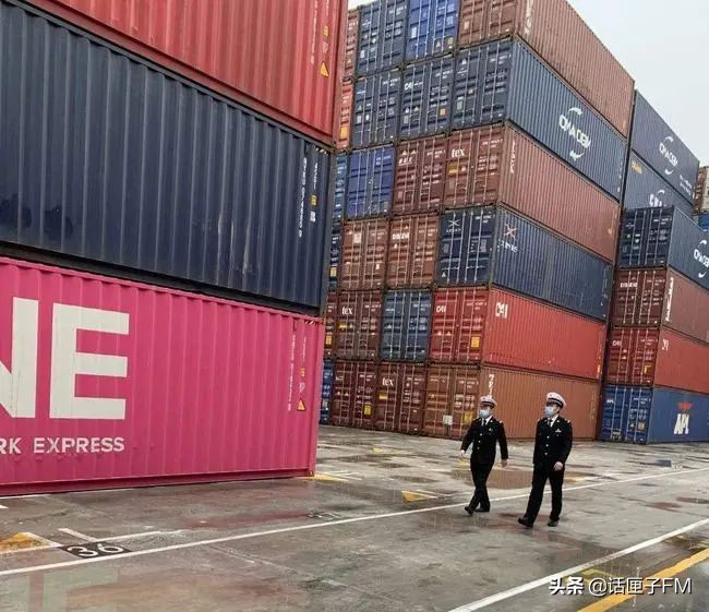 4米长，手臂粗！海关截获眼镜王蛇，现场还在不断喷射毒液