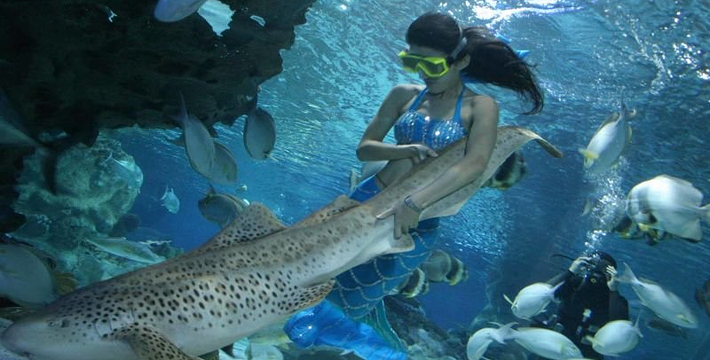 北京富国洋海底世界图片,北京富国海底世界攻略