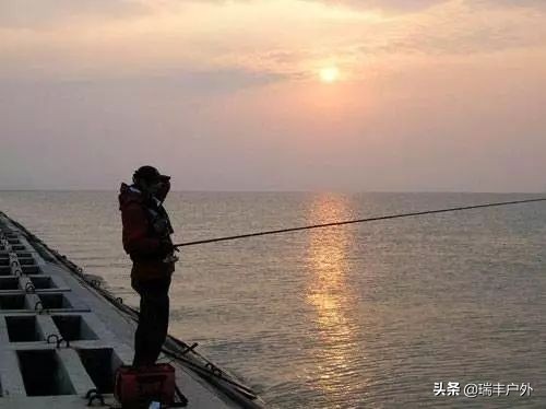 江河入海口如何钓鲈鱼,江河出海口处钓鱼