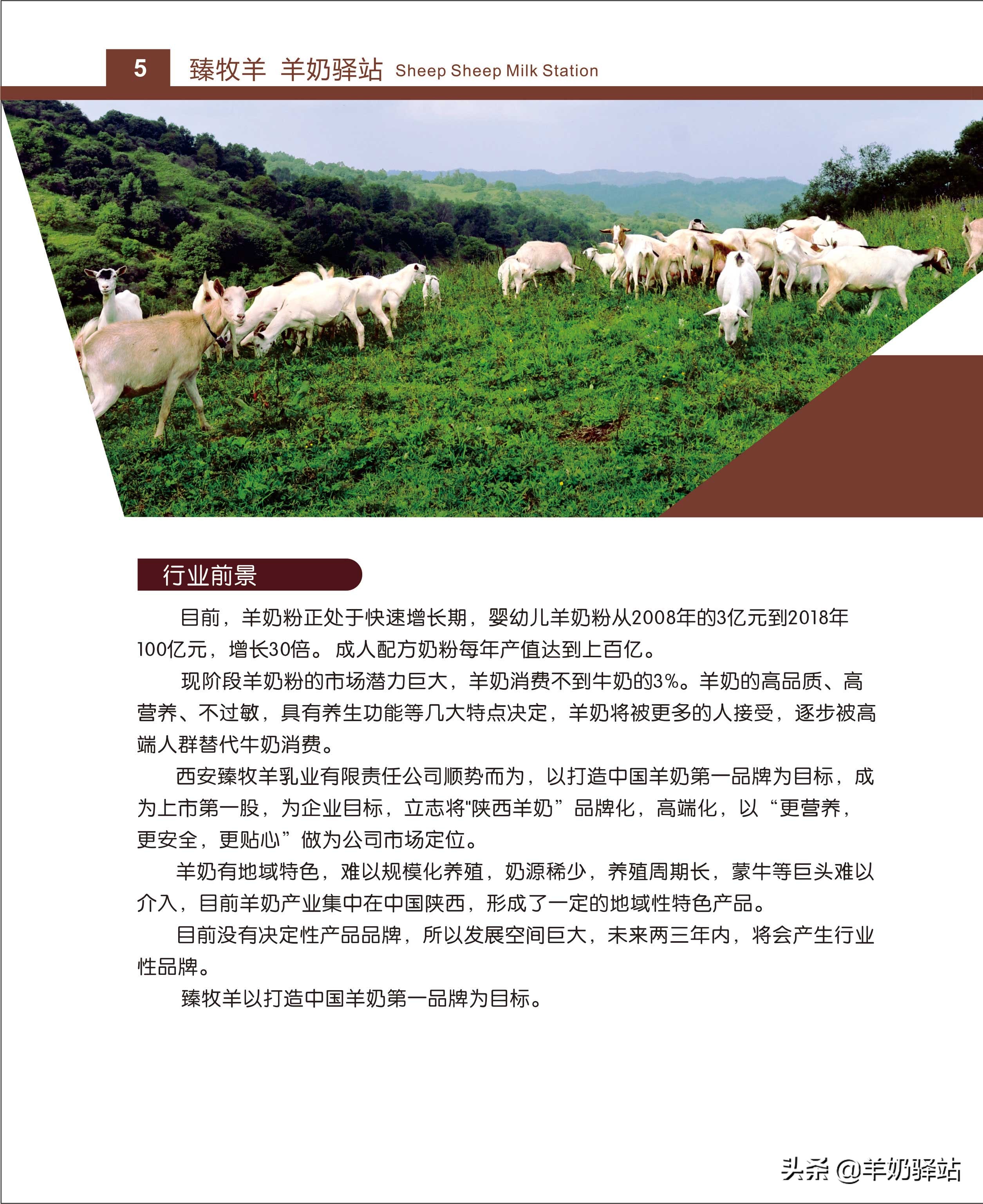 羊奶加盟招商模板,羊奶加盟哪个平台好