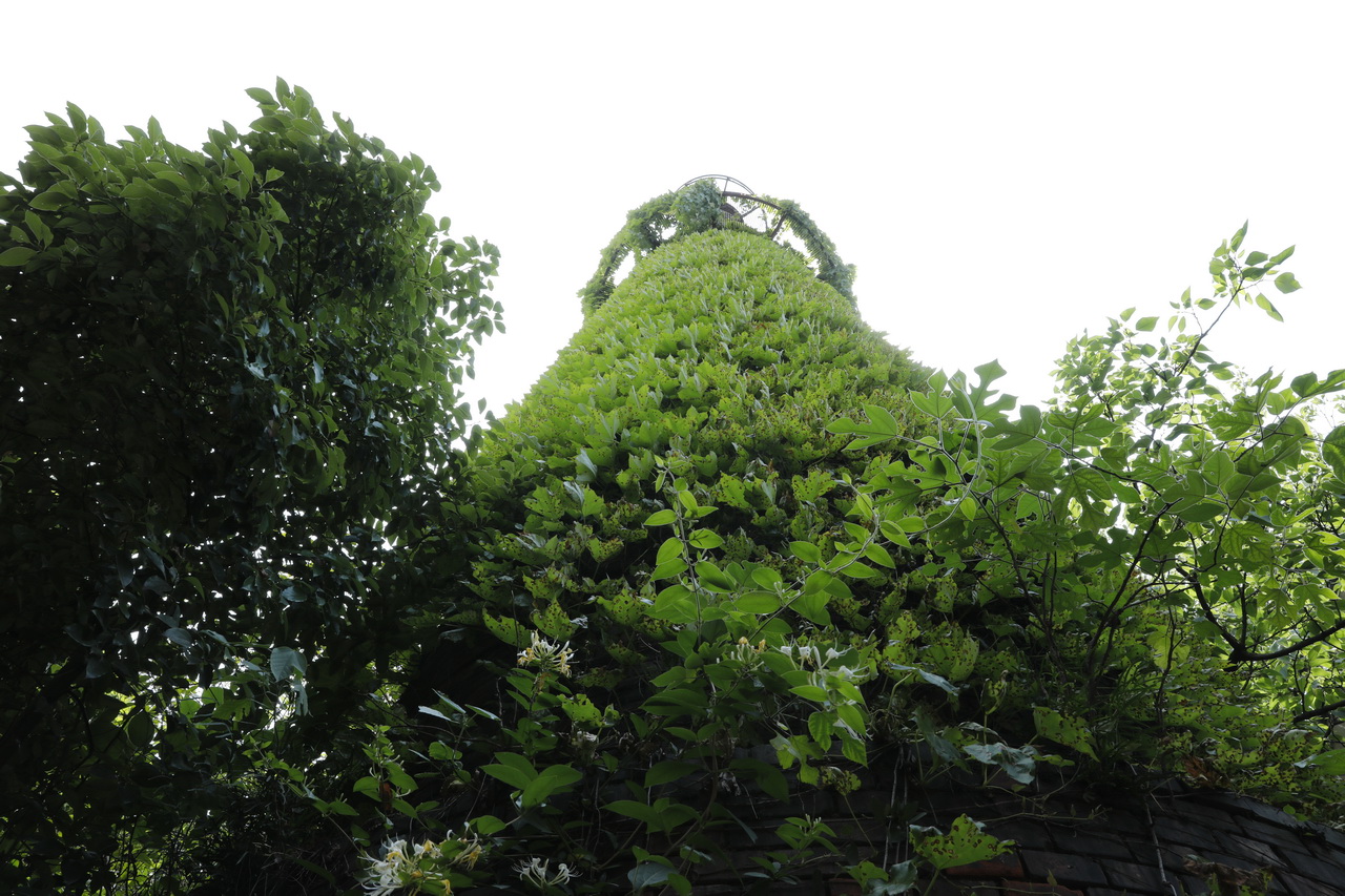 大武汉系列之156,大武汉系列之武汉重型机床厂