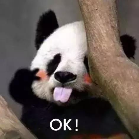 宁夏71个最美一日游打卡地,宁夏旅游一日游最佳攻略图