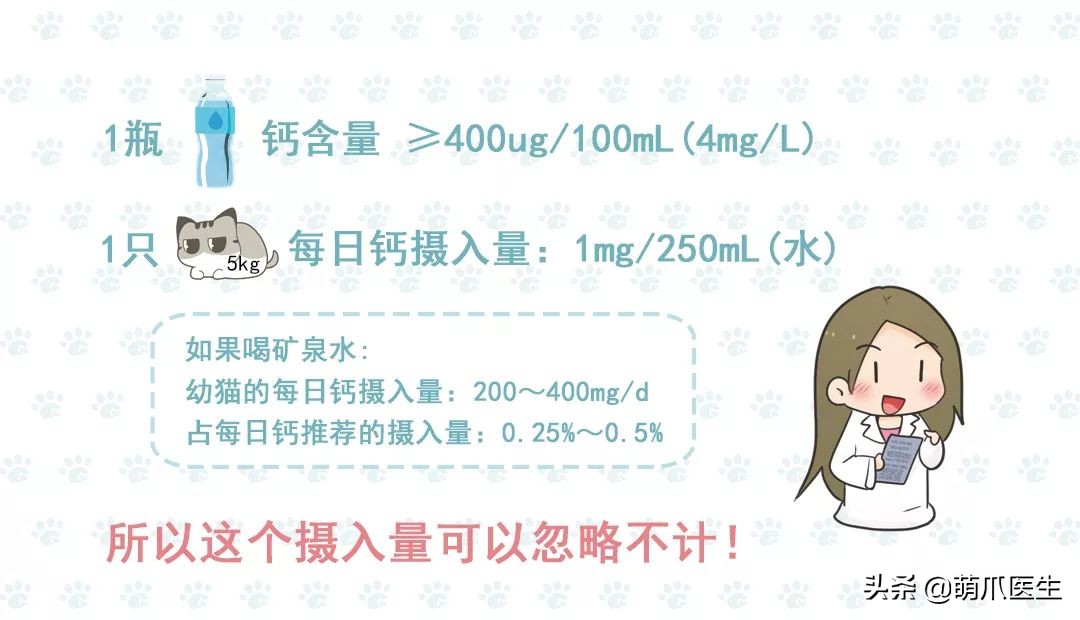 猫咪不铲屎有什么后果,猫咪不喝水不尿尿尿血