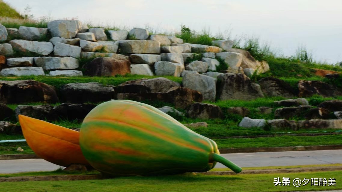 泰国芭提雅东芭乐园视频,芭提雅东芭乐园游玩攻略