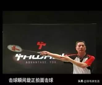 羽毛球小常识100条简短,羽毛球的五个小知识