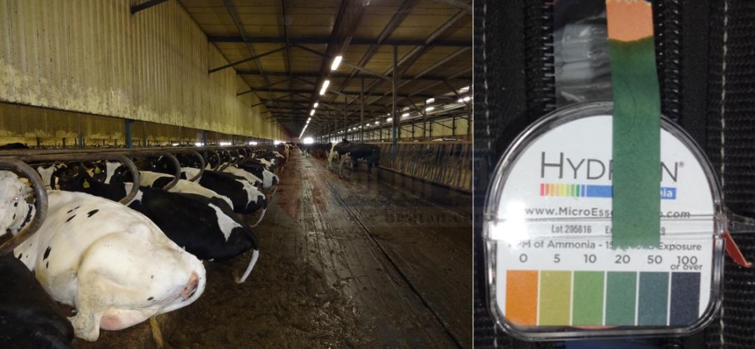 张廷青兽医,张廷青