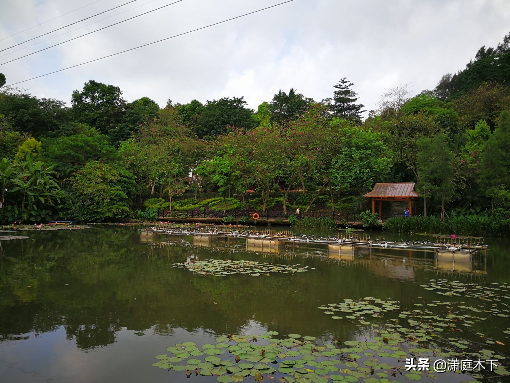 广州白云山风光摄影,赞美白云山好风光古诗词