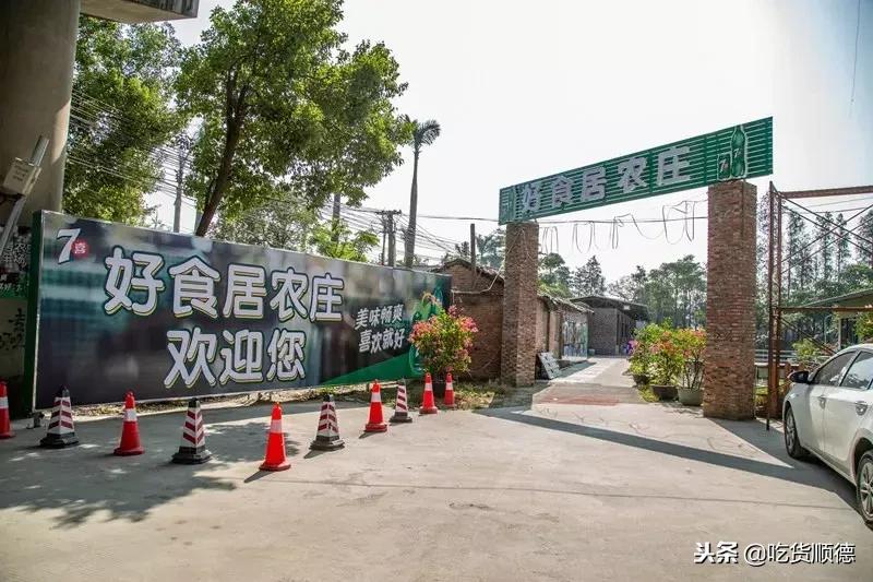 顺德人均100的农庄,顺德最顶级农庄