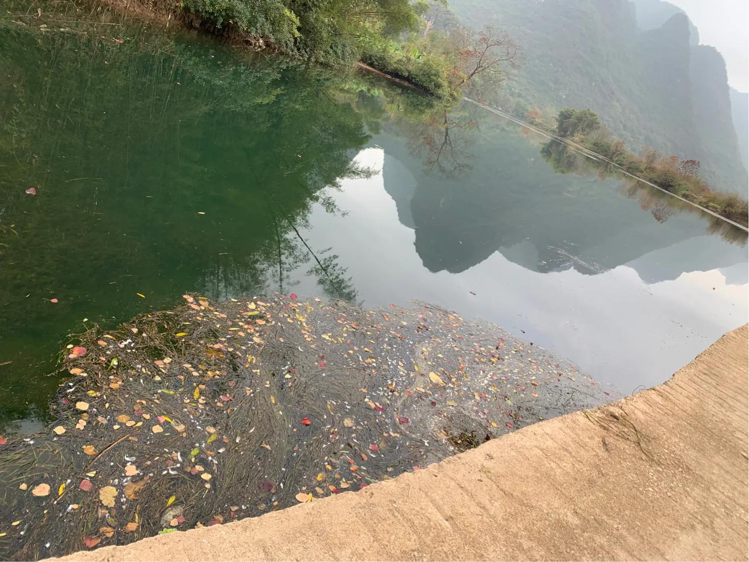 阳朔旅游攻略排版,桂林阳朔十大必玩景点游记攻略