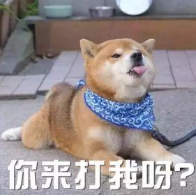 毫无求生欲的客服,淘宝客服幽默的套路是什么