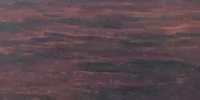 史上最全“红木”图解,看看哪种红木价值最高?