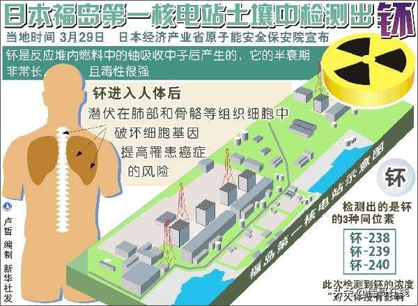 最毒的放射性元素钚,一克钚能毒死多少人