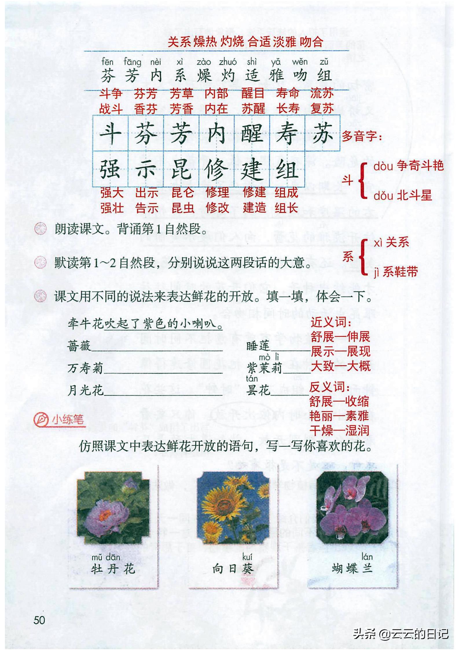 三年级下册语文笔记完整版讲解,三年级下册语文第一课注释